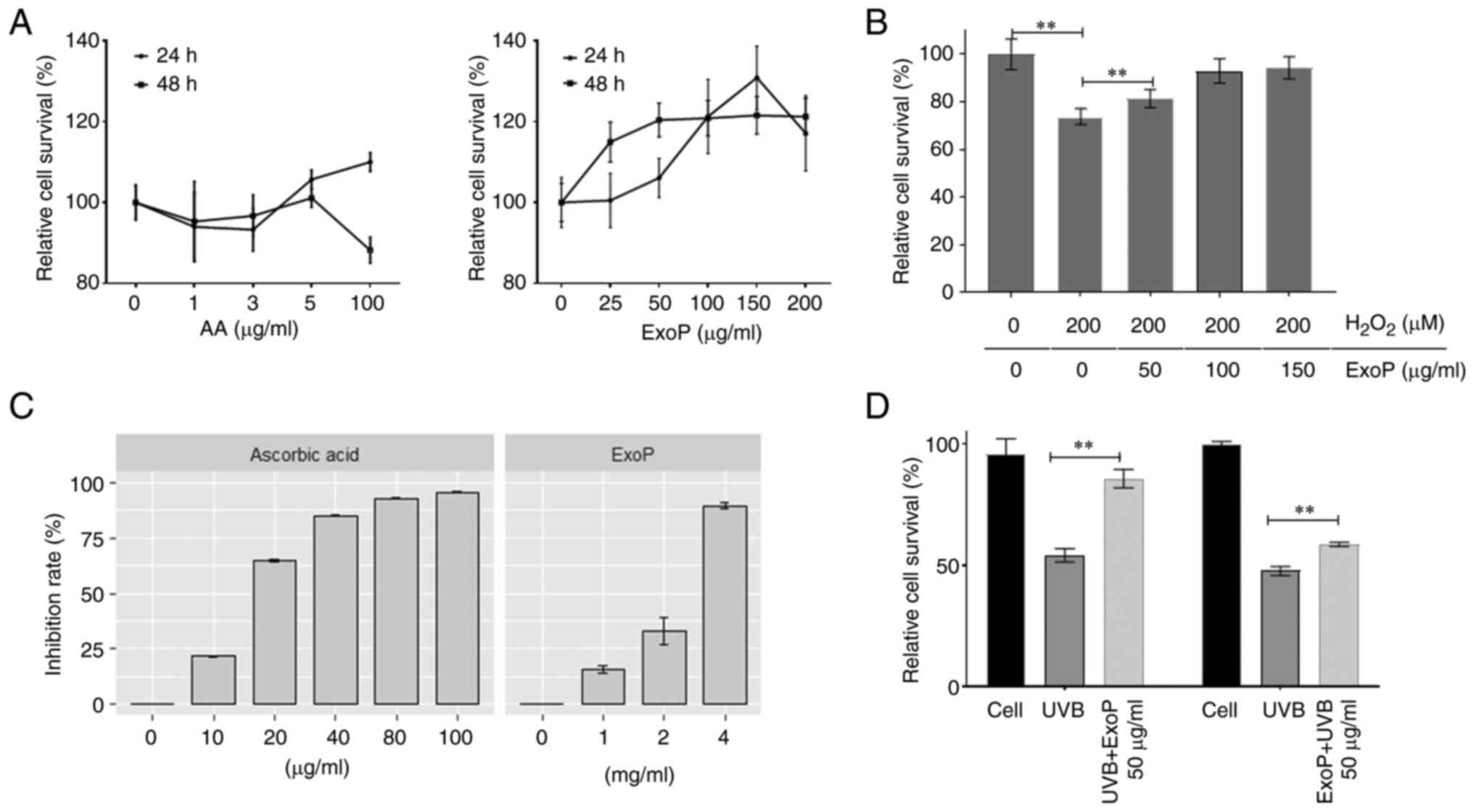 Potato exosomes' effect on HaCaT cell survival evaluated.